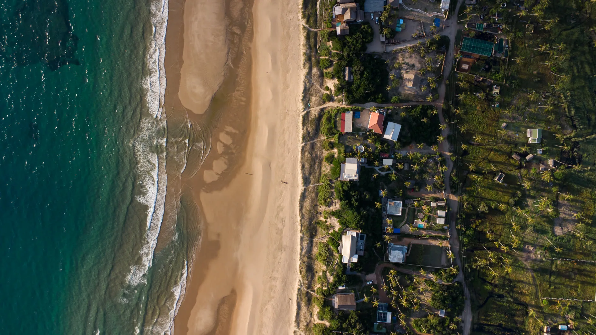 Vila exterior aerial, coconut forest